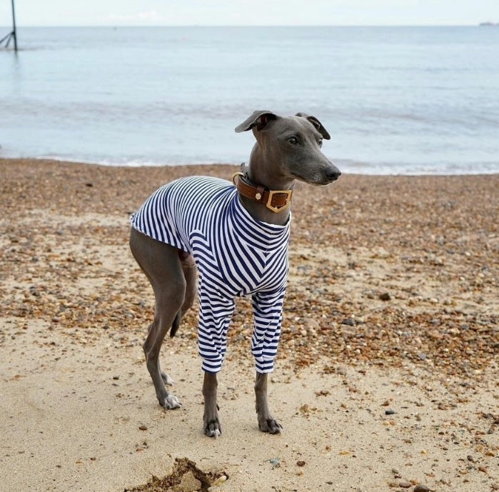 Long Sleeve Nautical Jersey Tee For All Sighthound Sizes