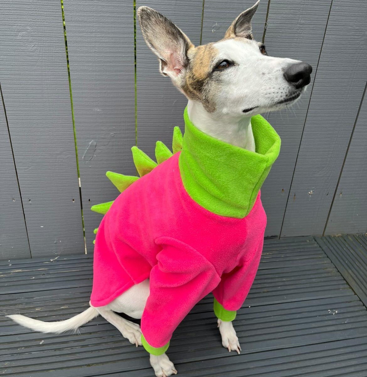 Whippasaur Fleece Sighthound Jumper