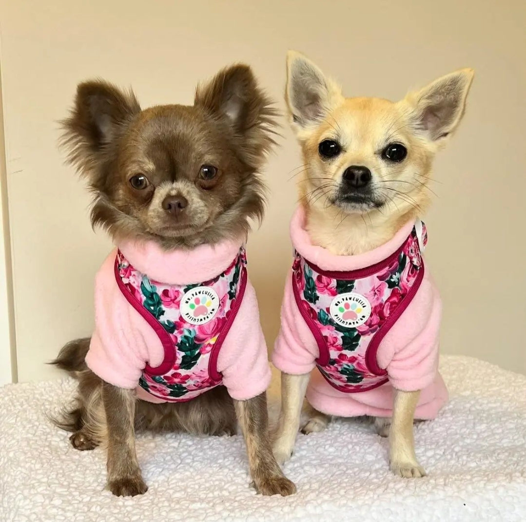 Dachshund/Small Breed Long Sleeve Jumper