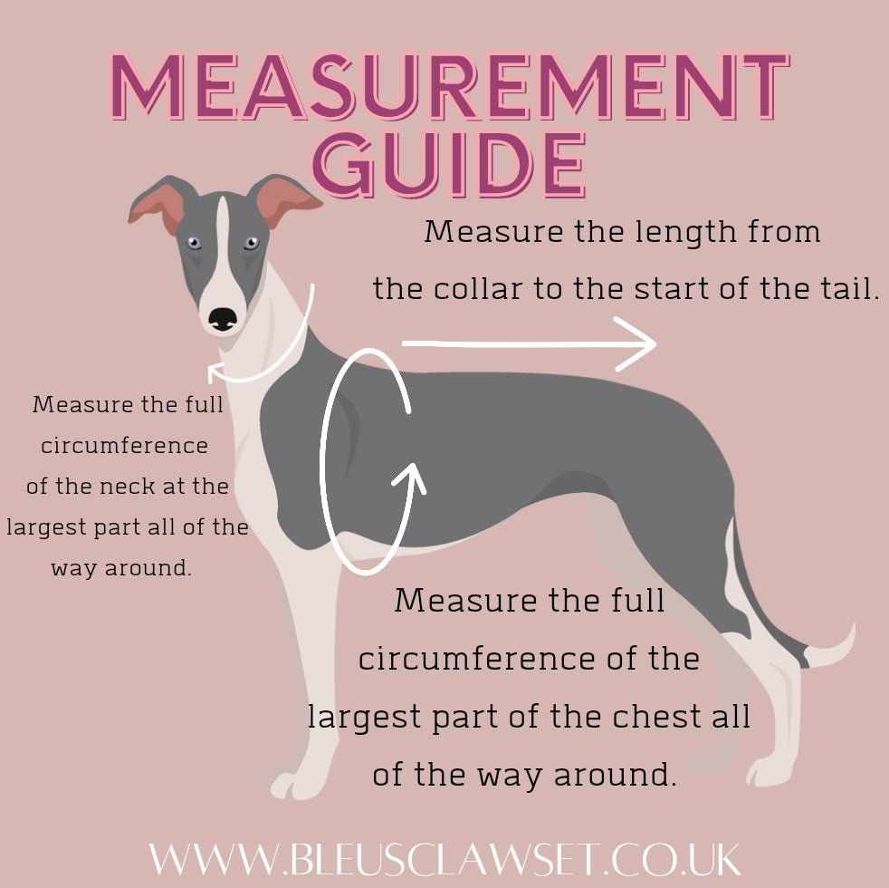 "Mooncake" Dinosaur Onesie For Whippets In Teal, Lilac & Baby Pink