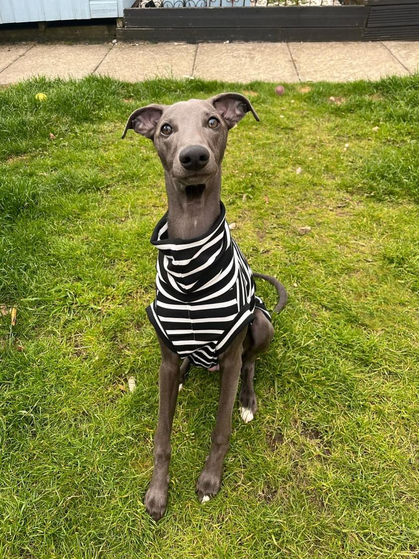 Black & White Stripe Lightweight Jersey Stretch Tankie