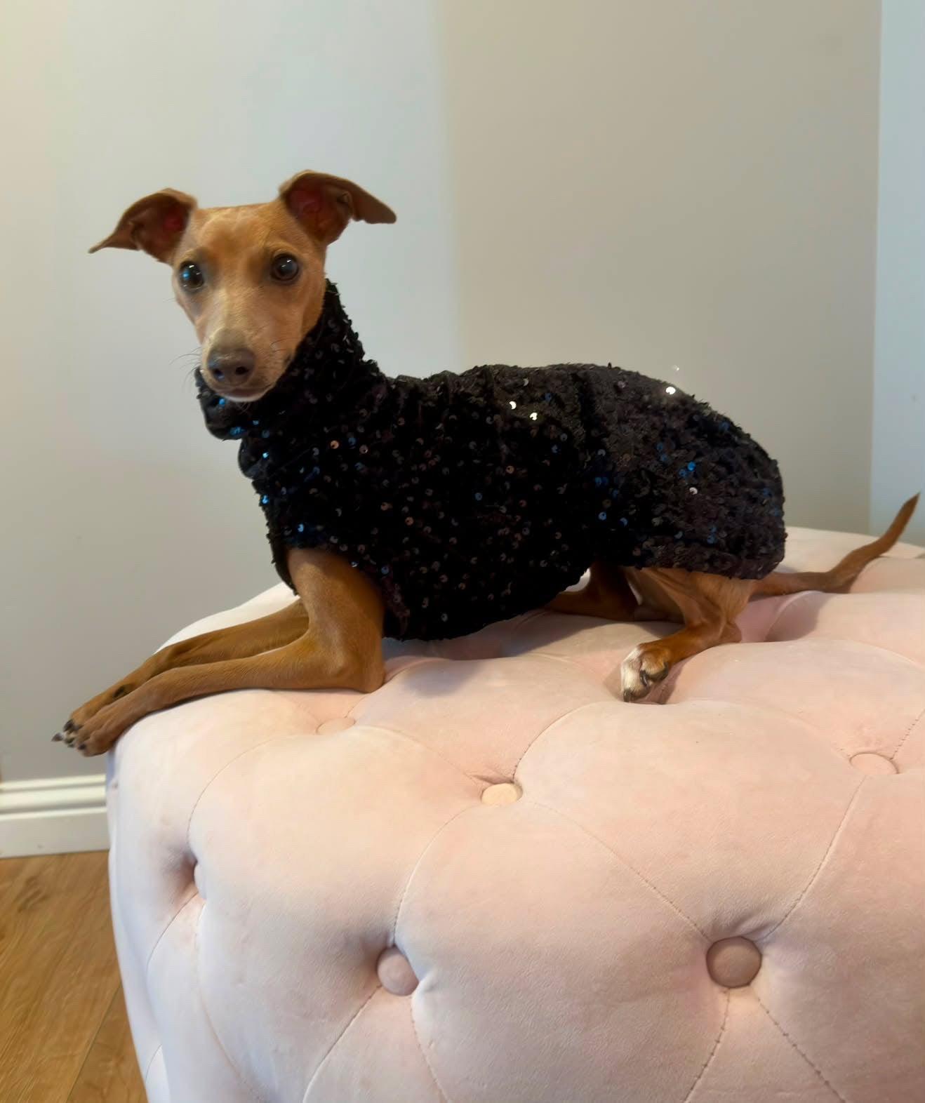 The “Zara” Lightweight Velvet Sequin Tankie All Sighthound Sizes
