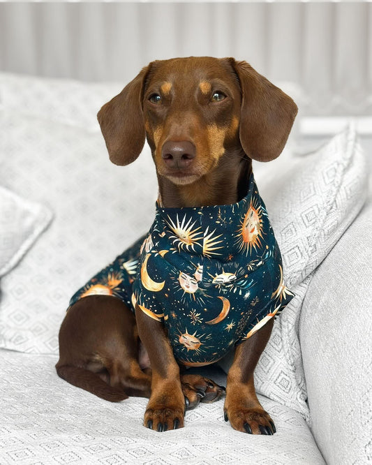 Celestial Jersey Dachshund Tankie