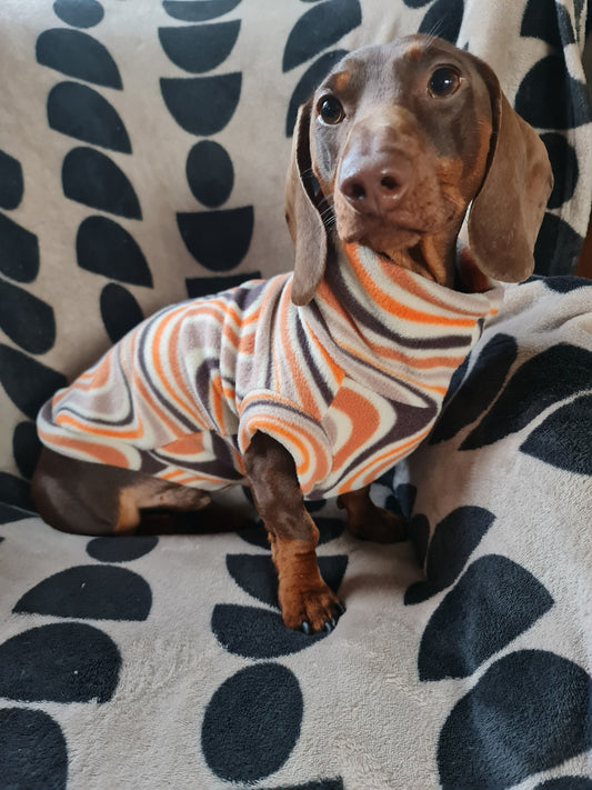 *NEW* Dachshund Chocolate Orange Tankie