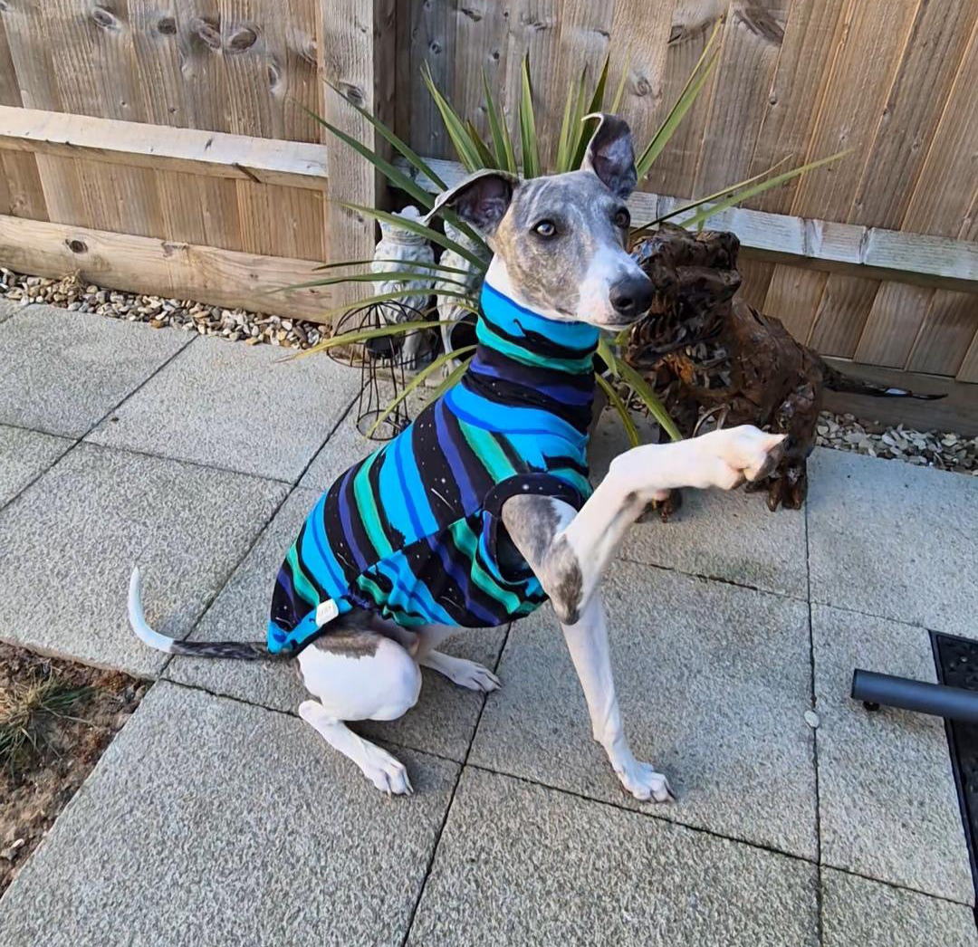 Dinosaur Horizon Whippet Jersey Tankie in PINK & PURPLE OR GREEN AND BLUE