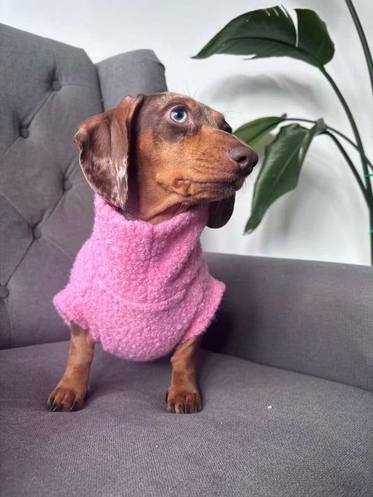 Boucle Dachshund Tankie In Various Colours