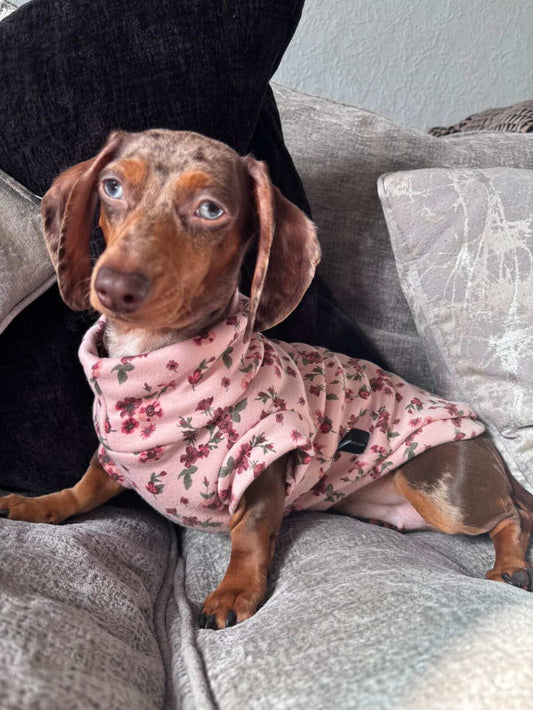 Cottage Floral Alpine Fleece Dachshund/Small Breed