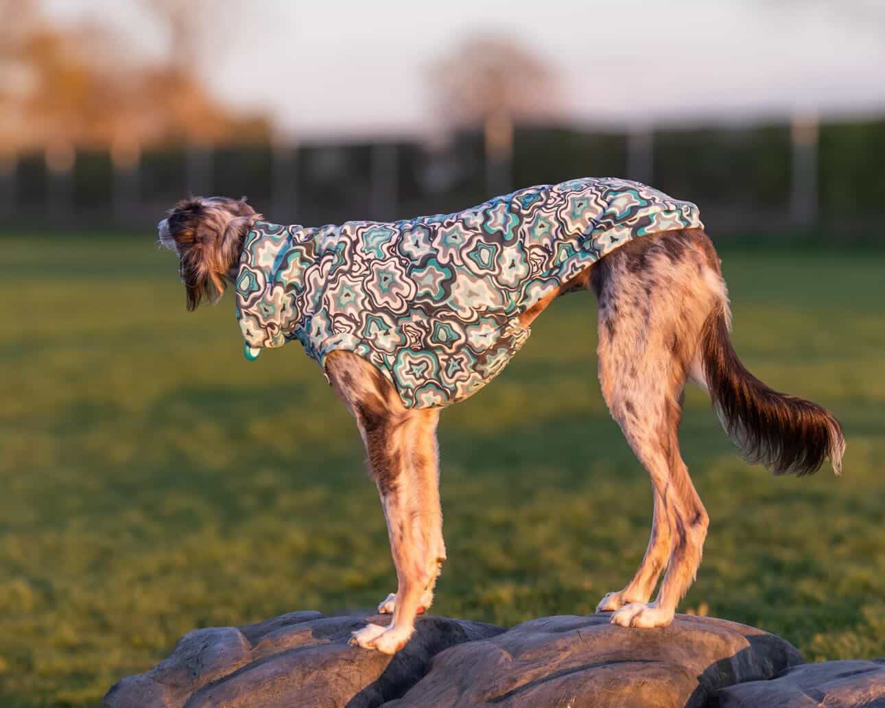 Geo Abstract Alpine Fleece Tankie All Sighthound Sizes