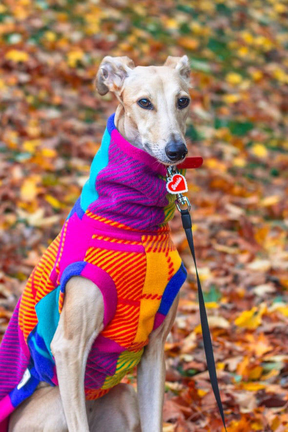Sighthound Patchwork Fleece Tankie