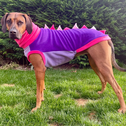Pink & Purple Sighthound Dinosaur Fleece Tankie
