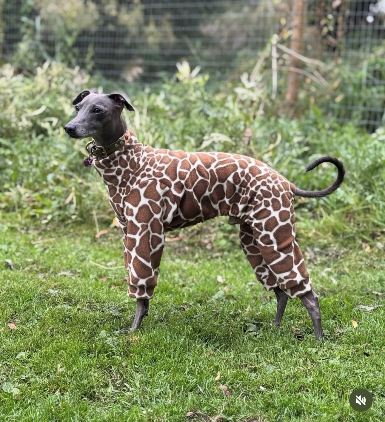 Giraffe Fleece Onesie For Greyhounds