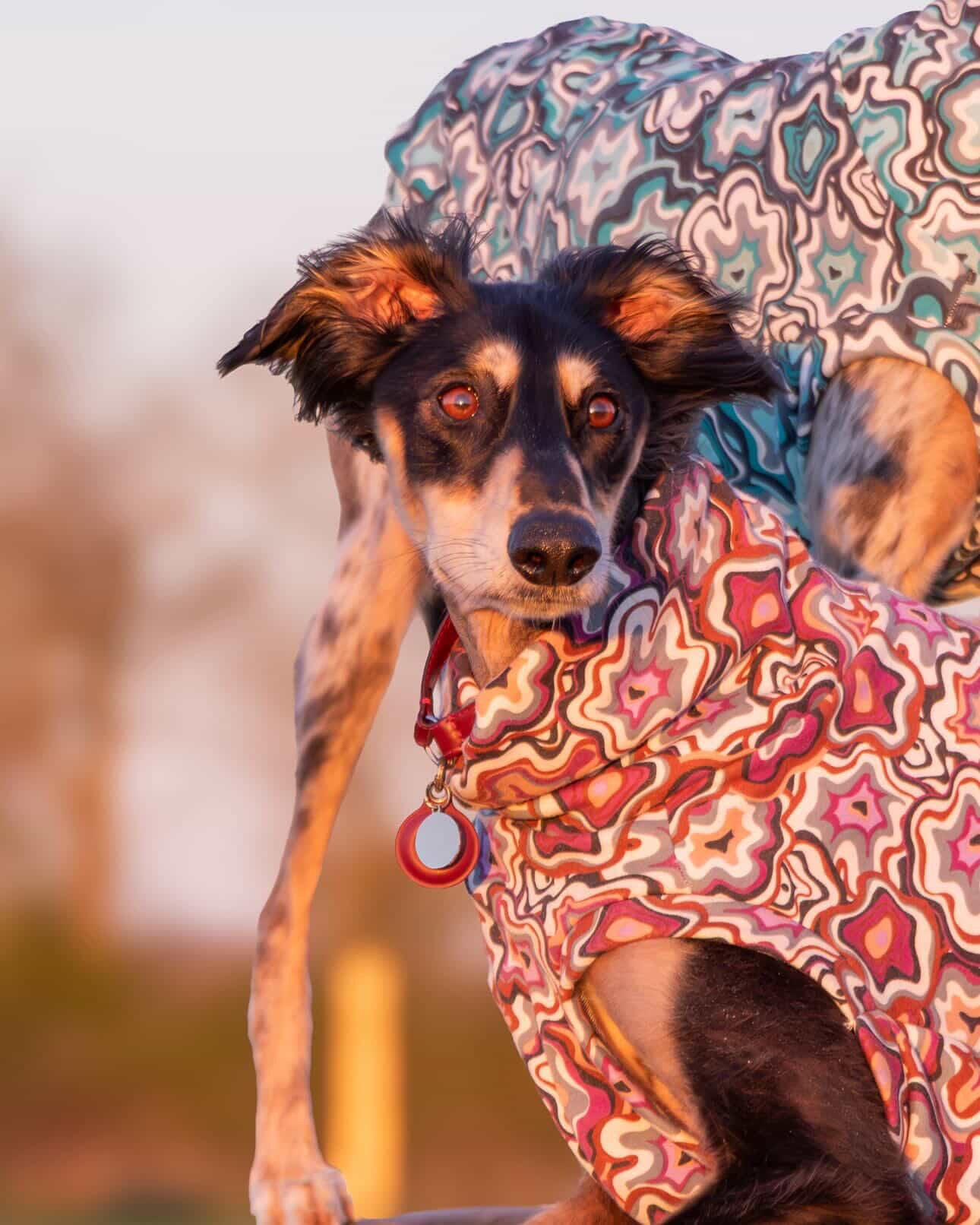 Geo Abstract Alpine Fleece Tankie All Sighthound Sizes