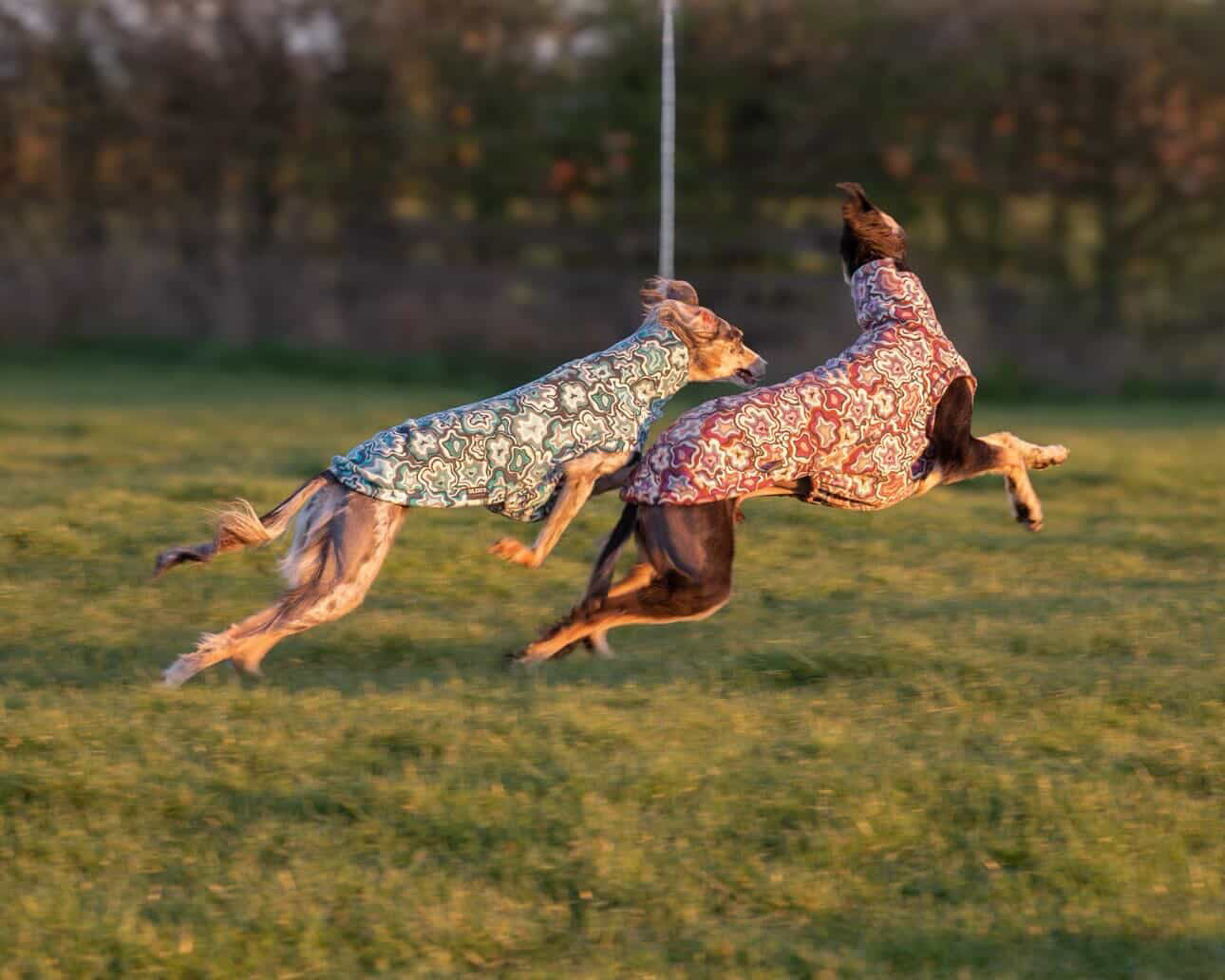 Geo Abstract Alpine Fleece Tankie All Sighthound Sizes