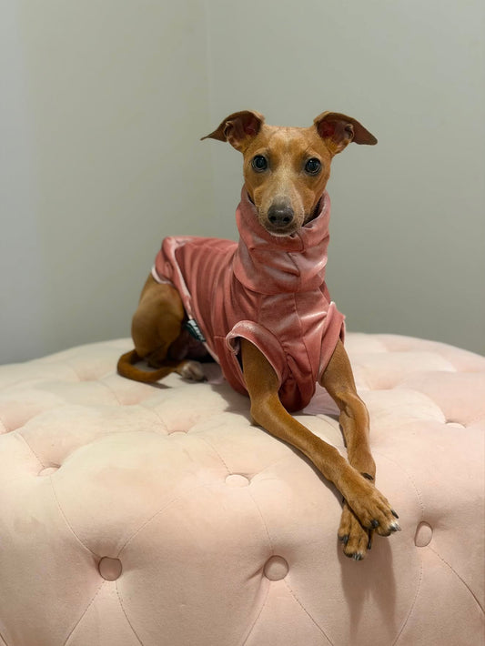 Velvet Luxe Collection Sighthound Tankie - all sizes