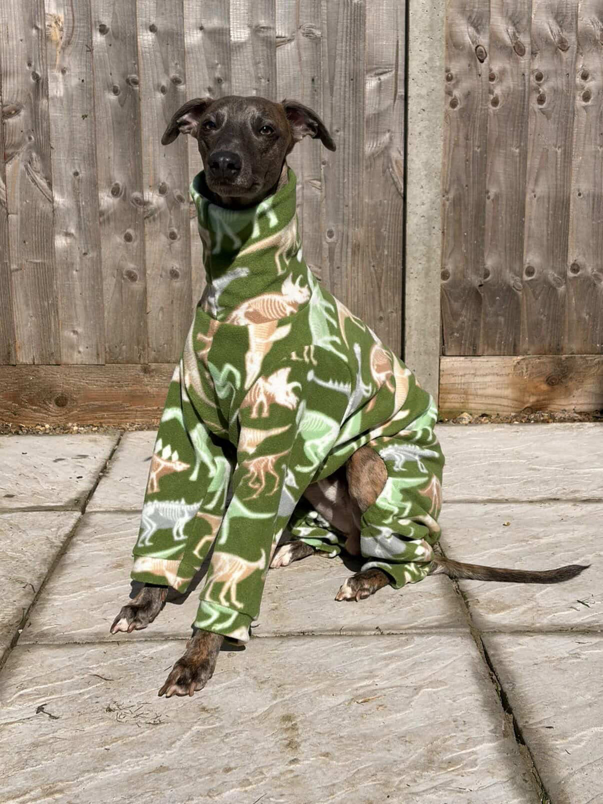 Dinosaur Bones Fleece Onesie For Whippets & Italian Greyhounds