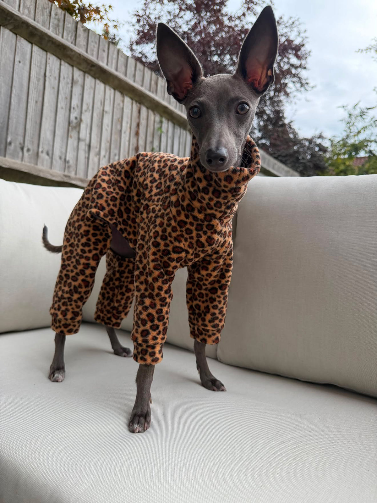 Leopard Fleece Onesie For Whippets & Italian Greyhounds