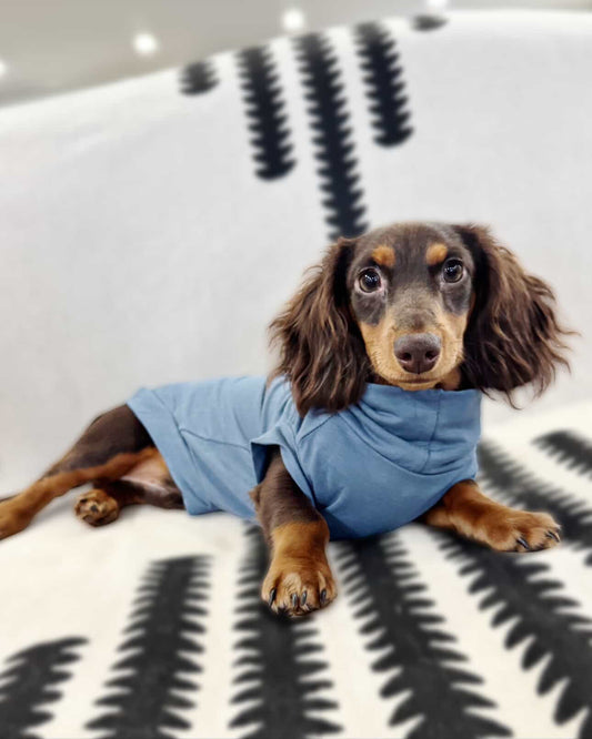 Bamboo Jersey T-Shirt Dachshund/Small Breed