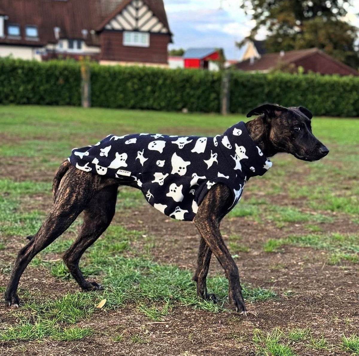Ghosties Print Fleece Tankie For Iggies, whippets & larger sighthounds