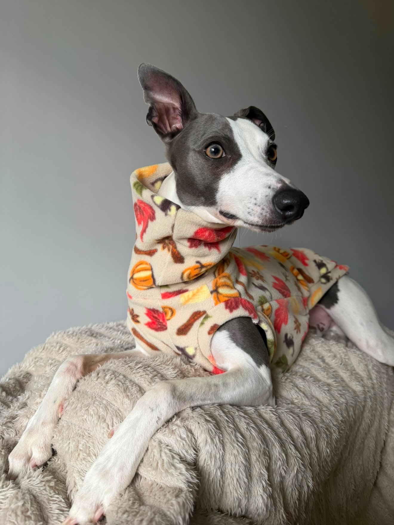 Pumpkin Spice Print Fleece Tankie For Iggies, whippets & larger sighthounds