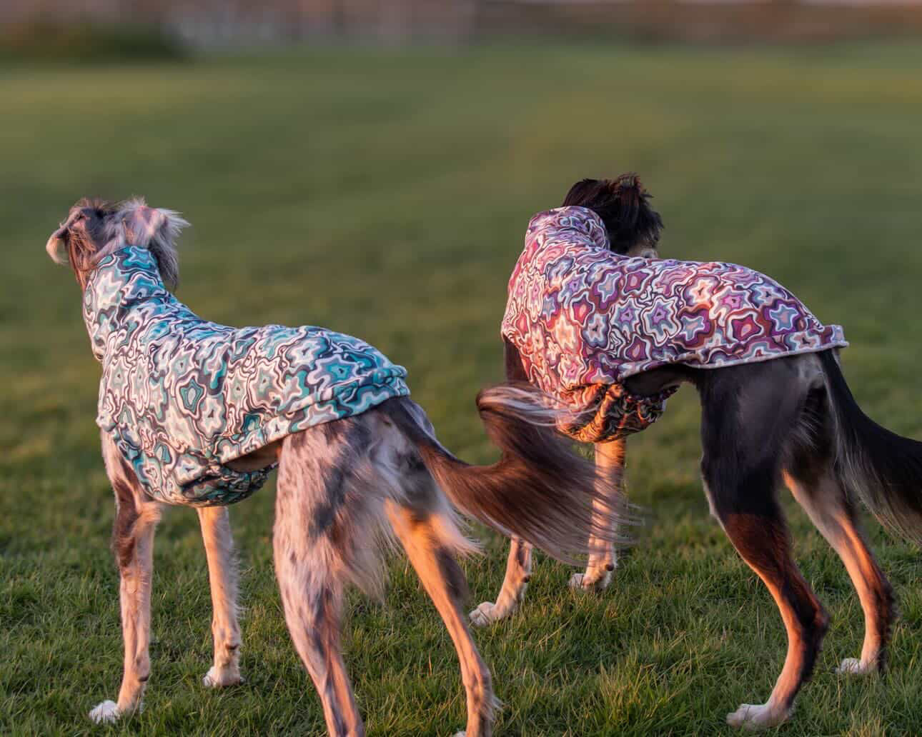 Geo Abstract Alpine Fleece Tankie All Sighthound Sizes