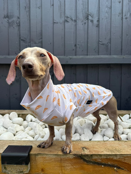 Crossiant Jersey Dachshund Tankie