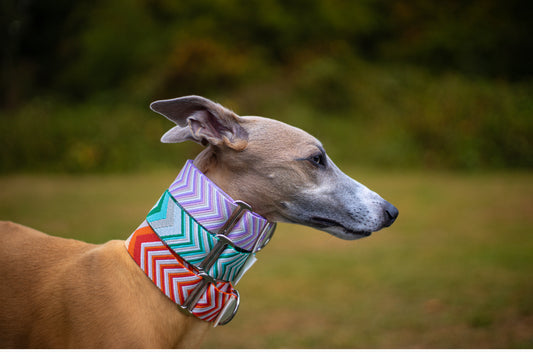 Chevron Martingale Collar