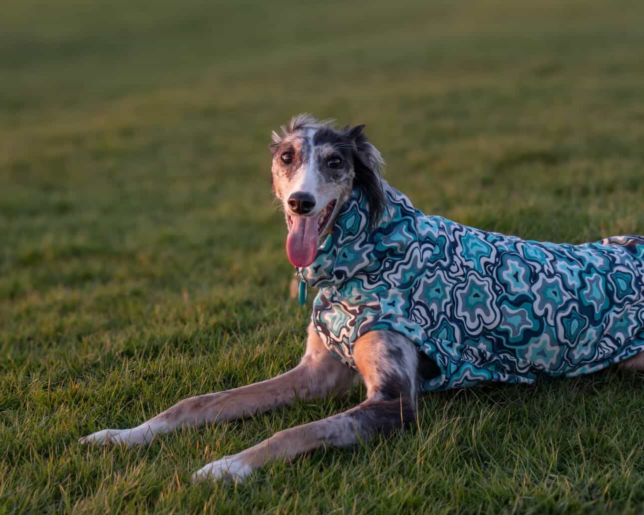Geo Abstract Alpine Fleece Tankie All Sighthound Sizes