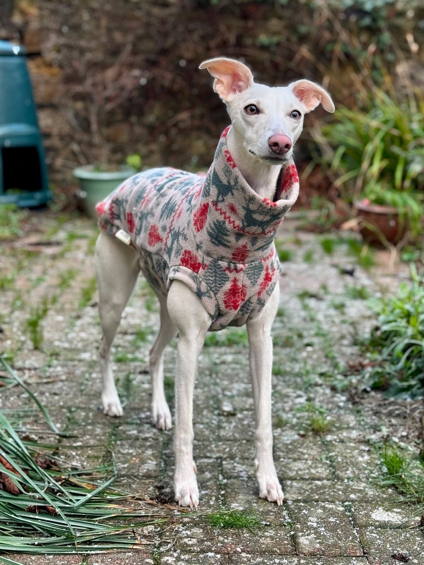 Fair isle Print Fleece Tankie For Iggies, whippets & larger sighthounds (Copy)