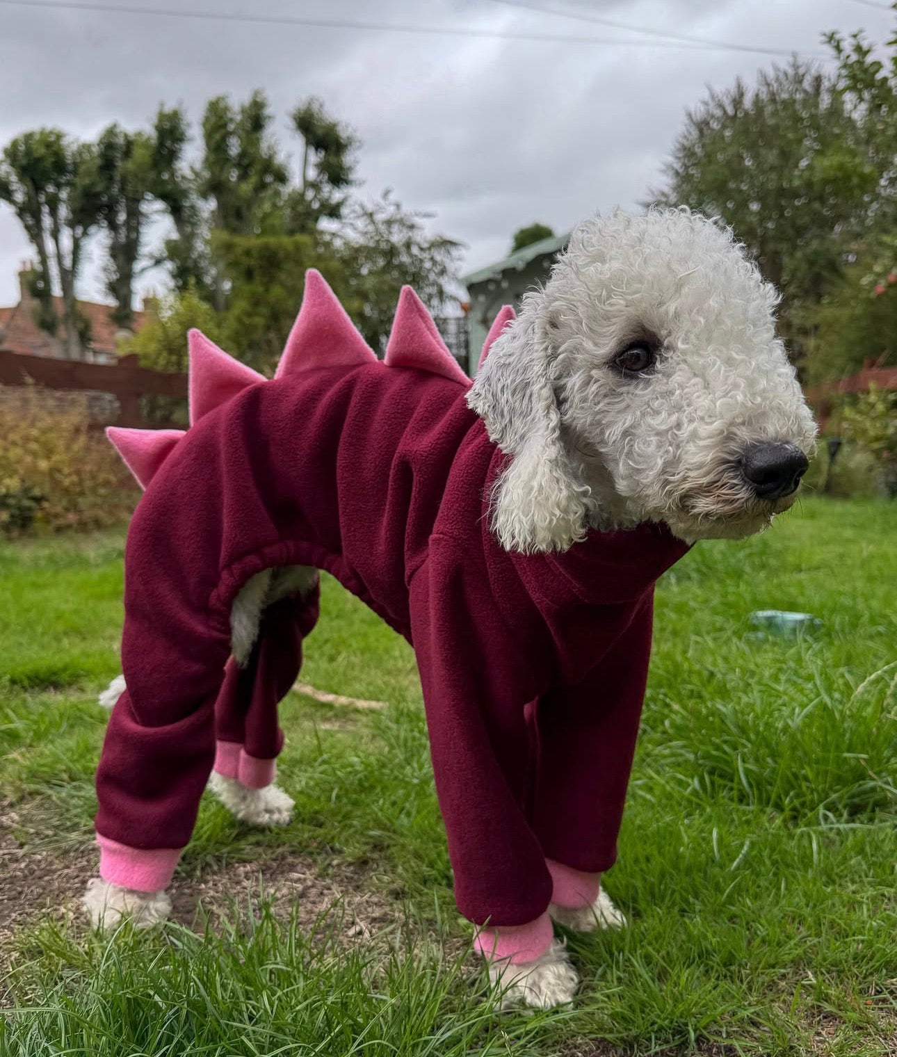 Red Velvet Colour Way Fleece Dinosaur Onesie For Iggies, whippets & Custom