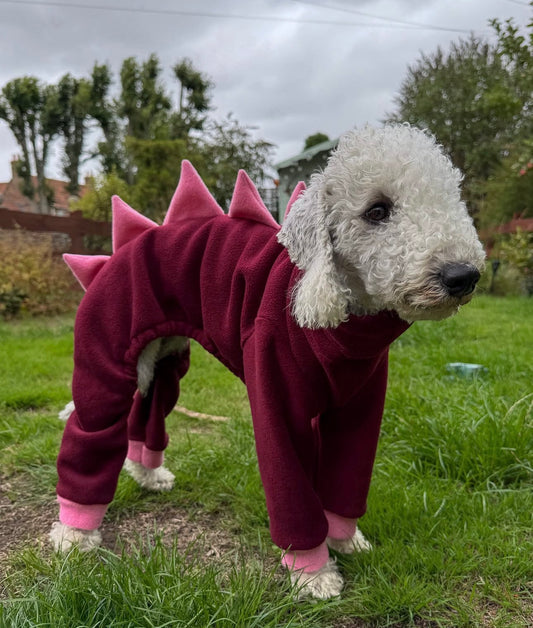 Red Velvet Colour Way Fleece Dinosaur Onesie For Iggies, whippets & Custom