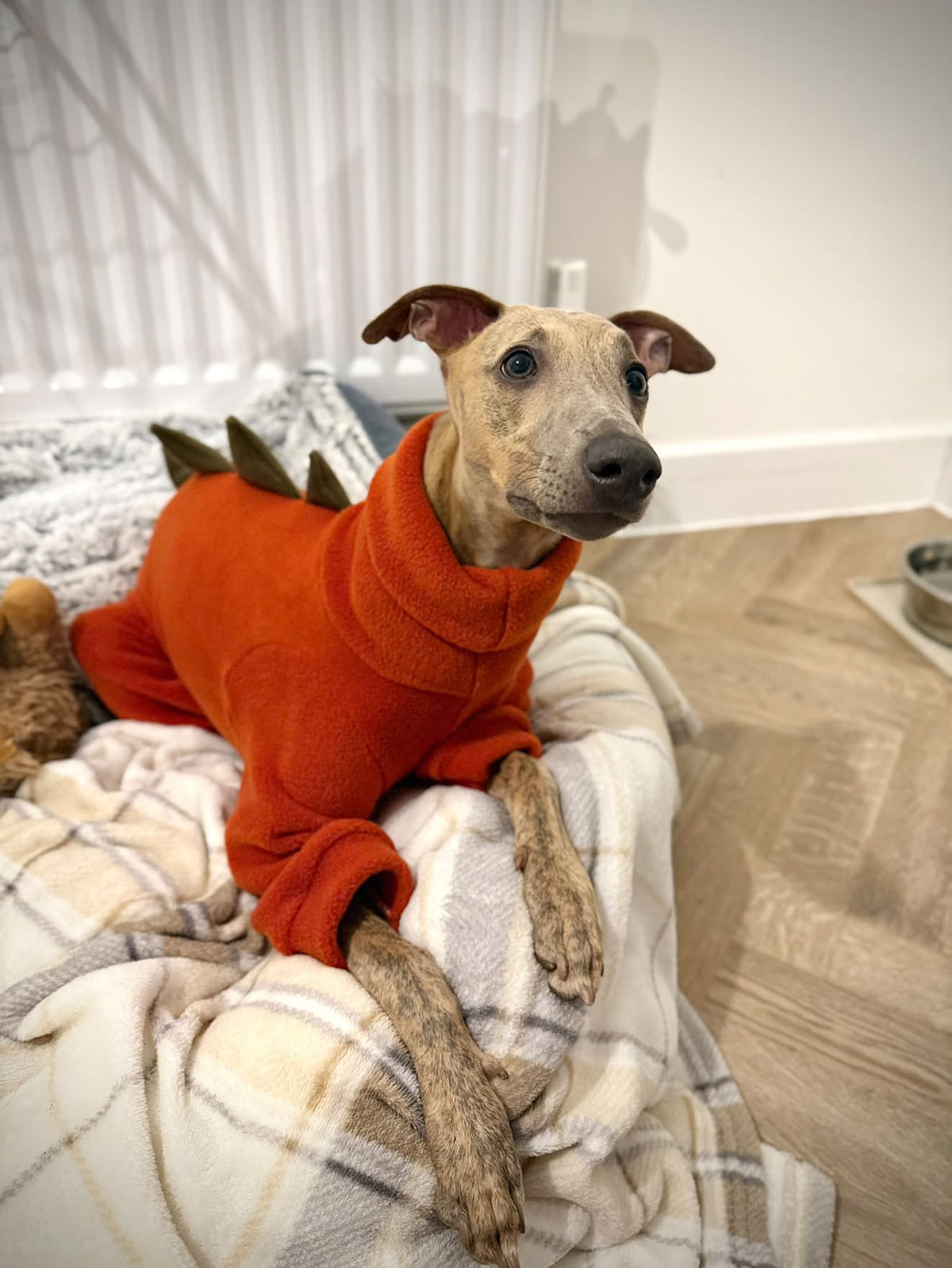 The “Rupert” Dinosaur Onesie For Iggies, whippets & Custom (Copy)