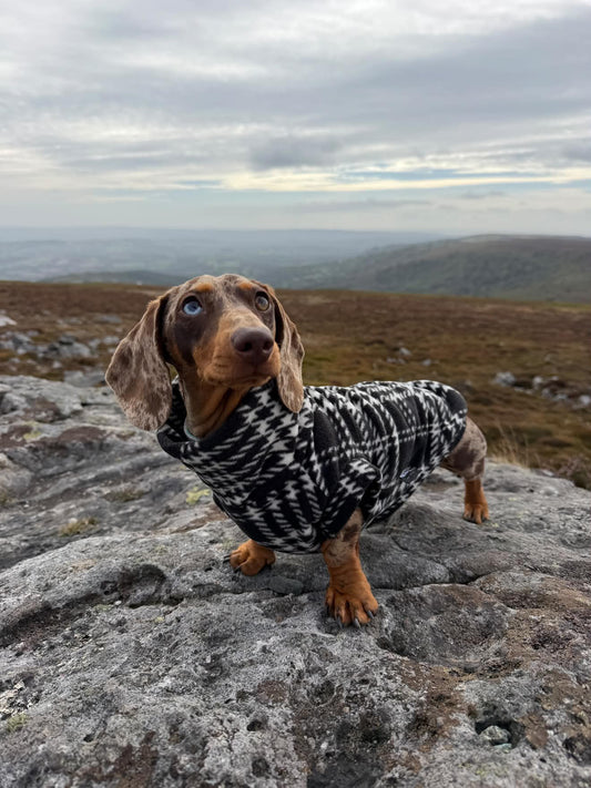 Houndstooth Polar Fleece Dachshund/Small Breed