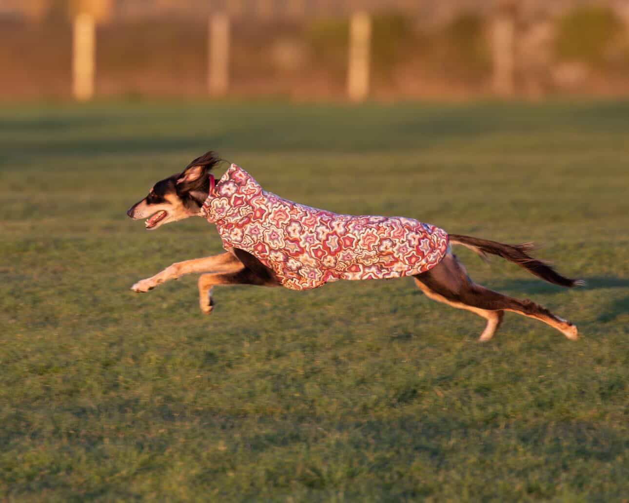 Geo Abstract Alpine Fleece Tankie All Sighthound Sizes