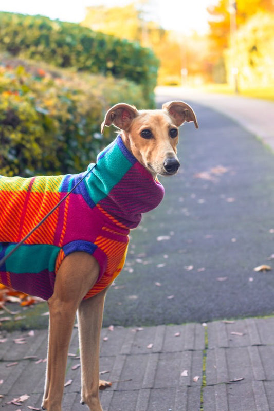 Sighthound Patchwork Fleece Tankie