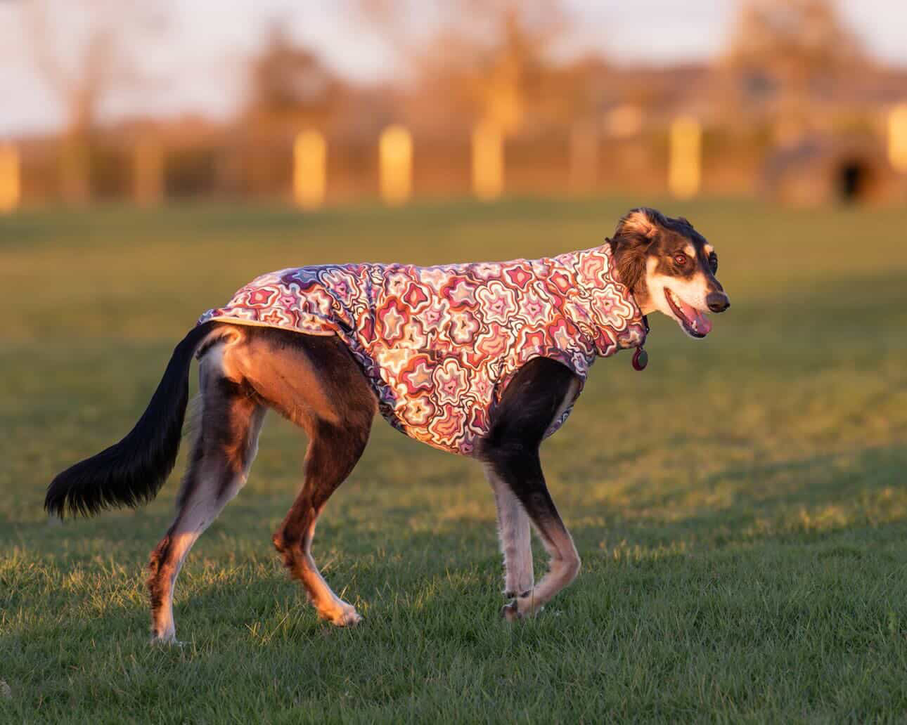 Geo Abstract Alpine Fleece Tankie All Sighthound Sizes