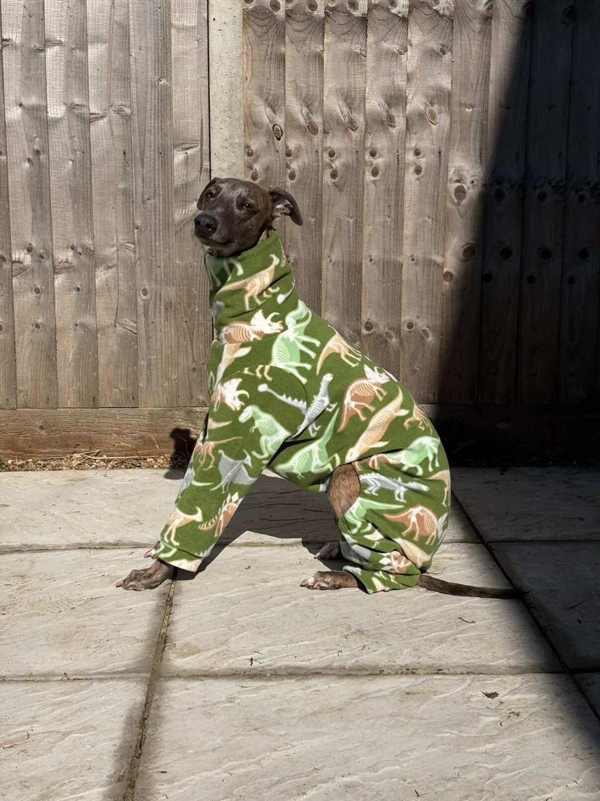 Dinosaur Bones Fleece Onesie For Whippets & Italian Greyhounds