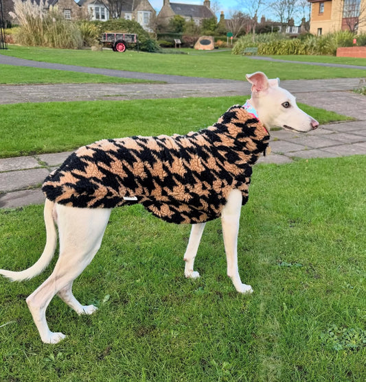 Caramel Houndstooth Sherpa Tankie for Italian Greyhounds