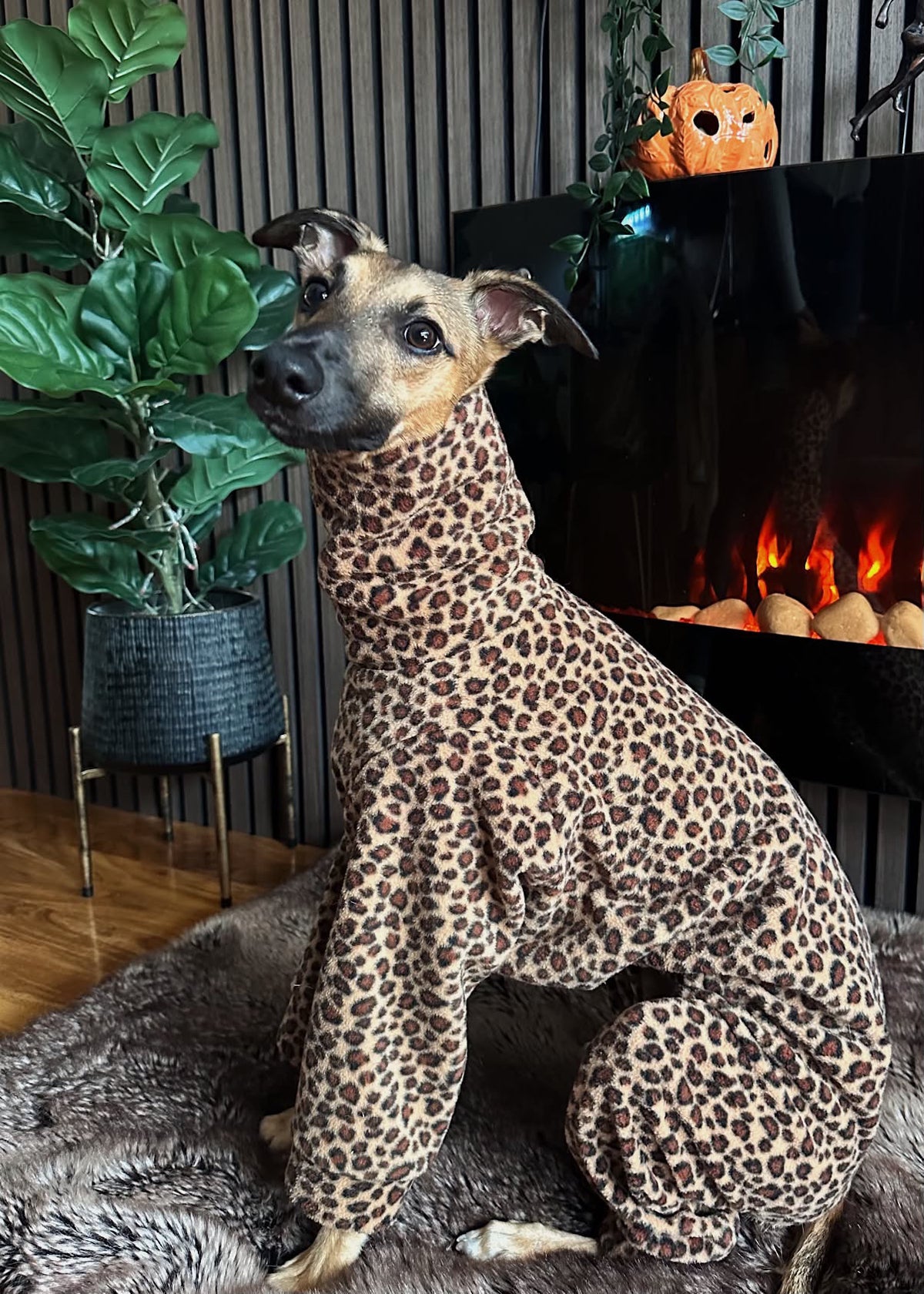 Leopard Fleece Onesie For Whippets & Italian Greyhounds