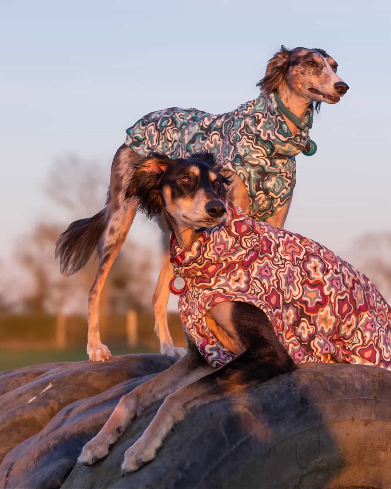 Geo Abstract Alpine Fleece Tankie All Sighthound Sizes