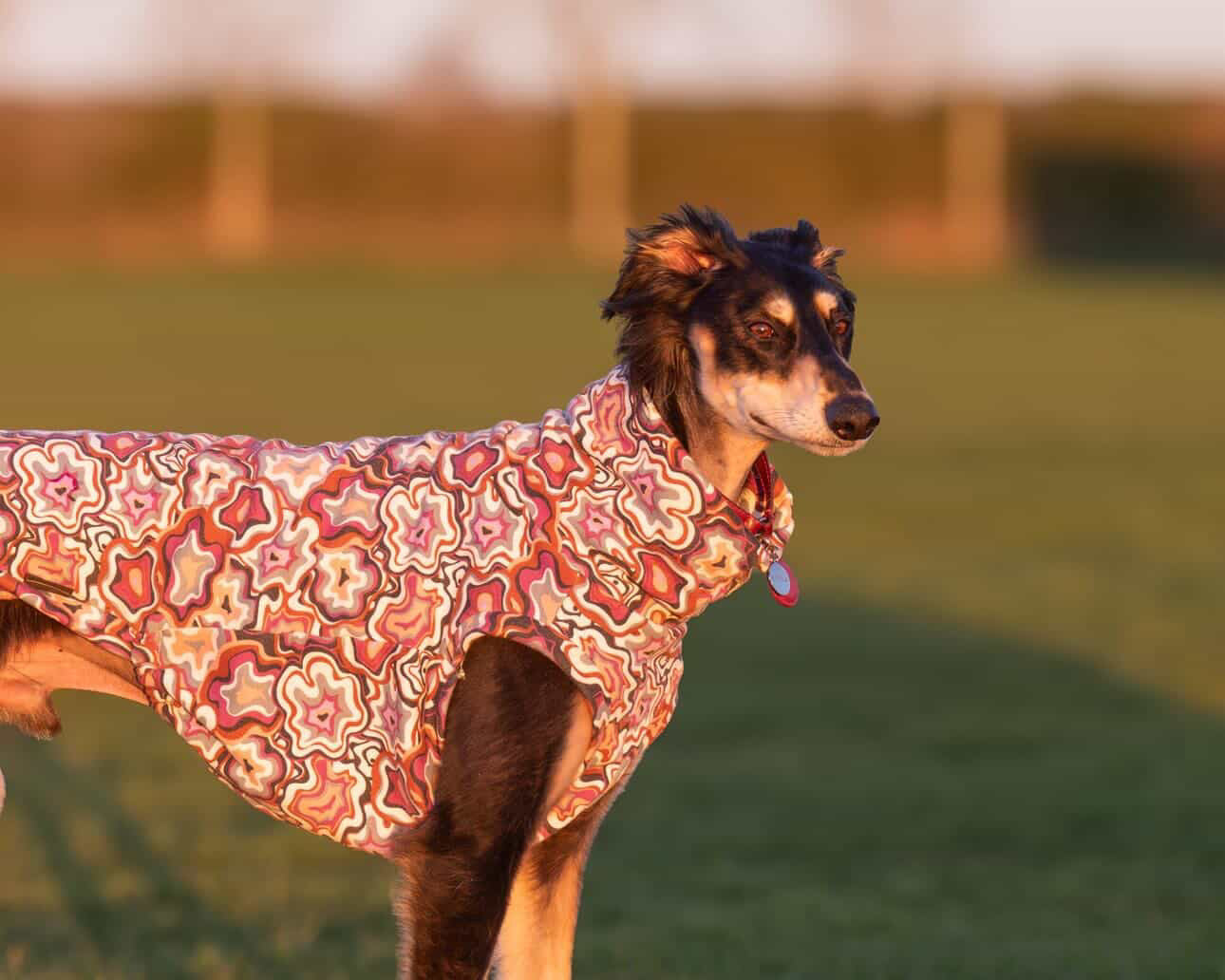 Geo Abstract Alpine Fleece Tankie All Sighthound Sizes