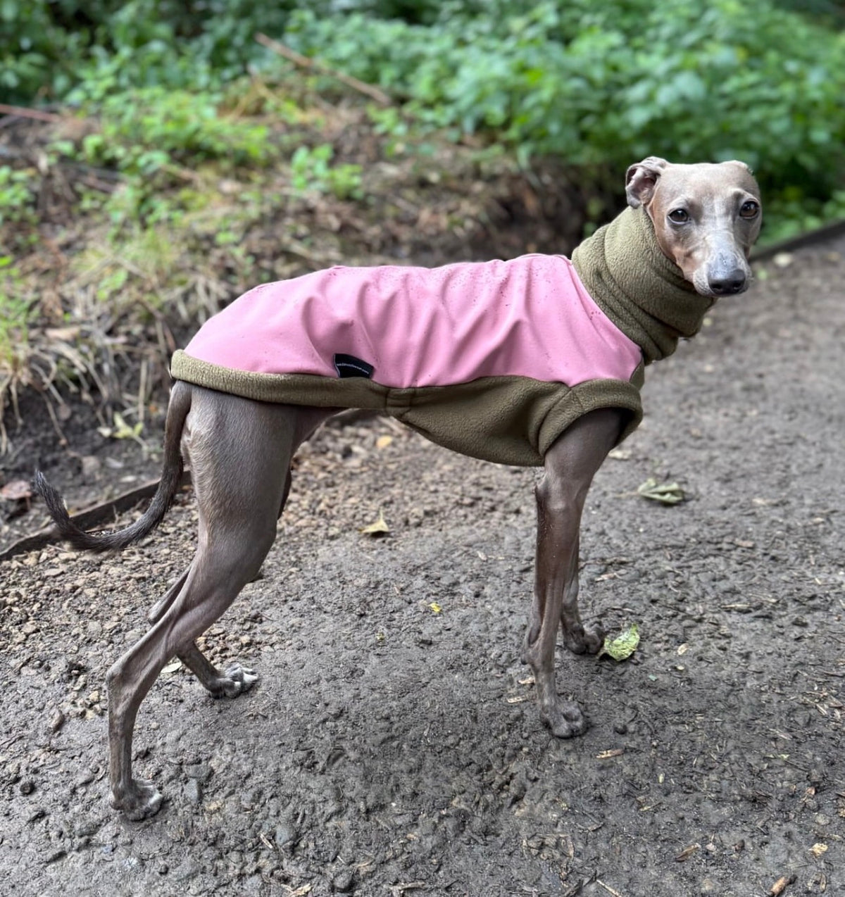 Dusky Pink & Moss Sighthound Duo Fleece Tankie With Softshell Back Panel