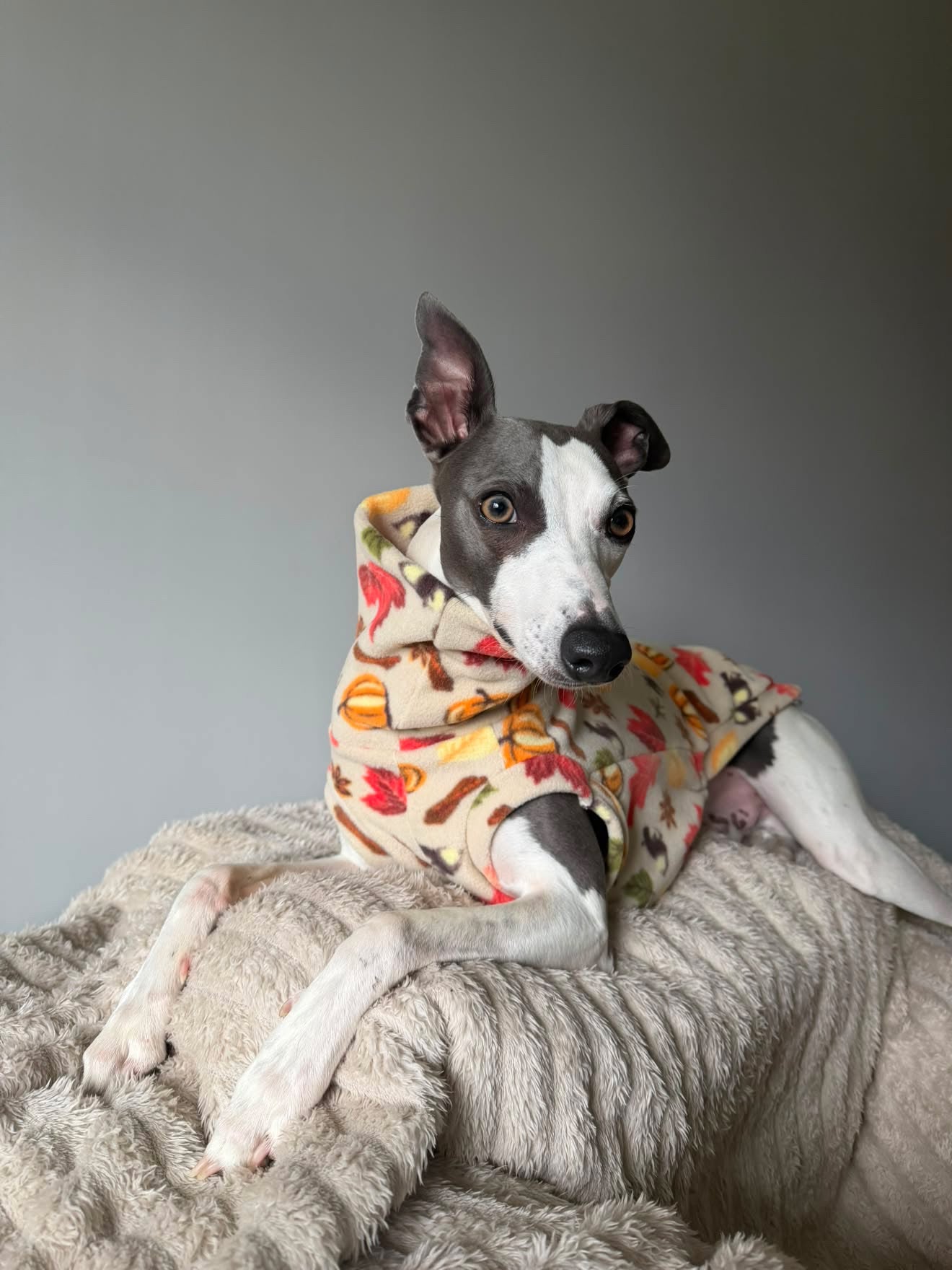 Pumpkin Spice Print Fleece Tankie For Iggies, whippets & larger sighthounds