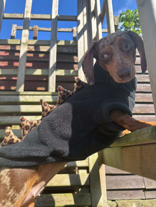 Black & Leopard Dinosaur Dachshund/Small Breed Tankie