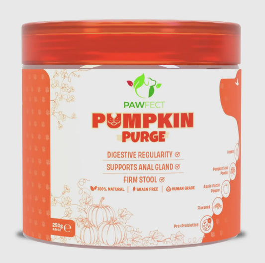 Pumpkin Purge Enrichment Powder