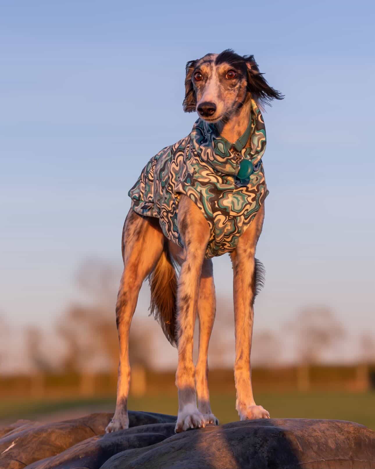 Geo Abstract Alpine Fleece Tankie All Sighthound Sizes