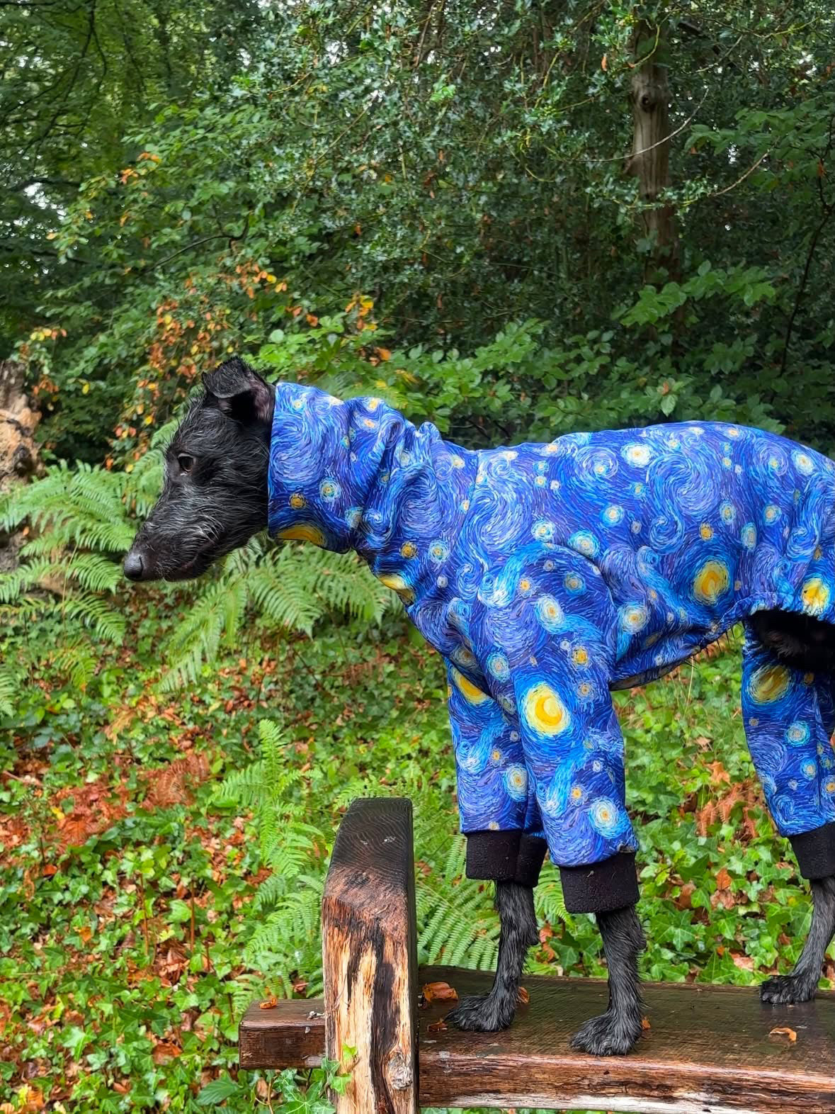 The “Starry Night” Rainsuit Onesie For Iggies & Whippets