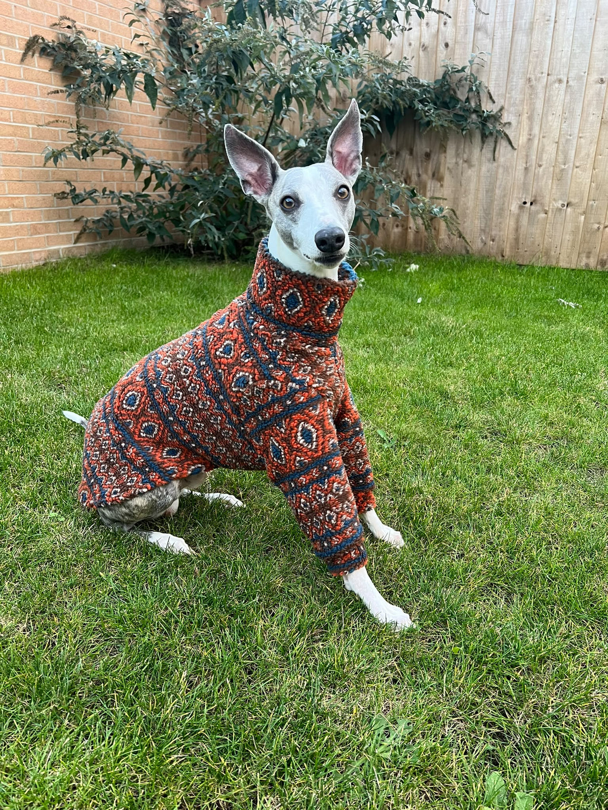 Printed Sherpa Fleece Sighthound 3/4 Sleeve Jumper