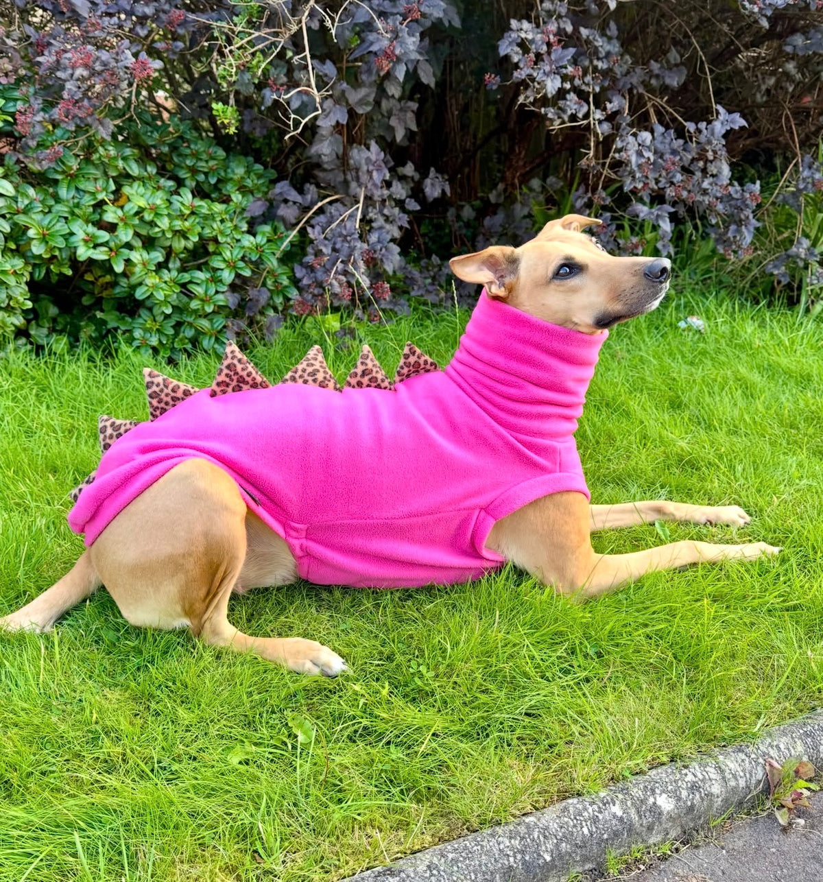 The “Luna” Sighthound Dinosaur Fleece Tankie