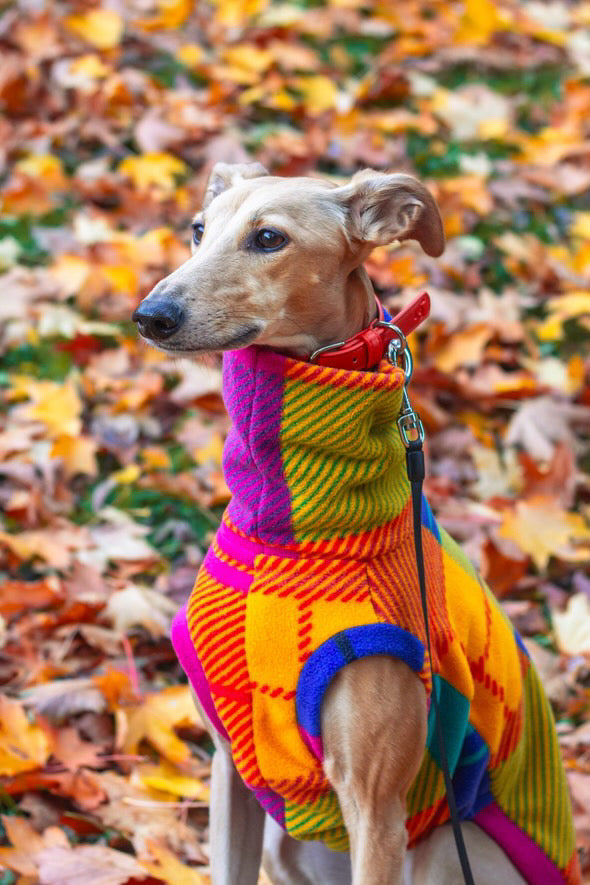 Sighthound Patchwork Fleece Tankie