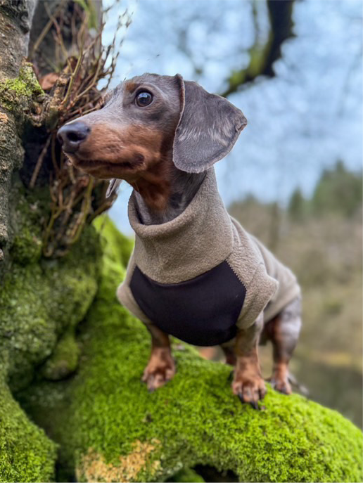 Waterproof Tummy Tankie Jumper Dachshund/Small Breed